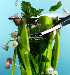 Skin Replenishing Body Wash I8